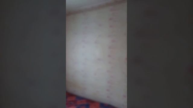 продажа дома в  Сабельном Новооскольский район