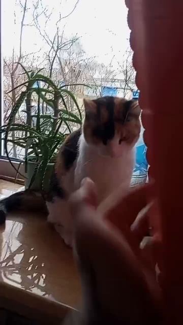 1000029402.mp4