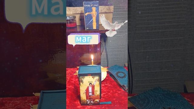МЕЧТЫ И ГРЁЗЫ