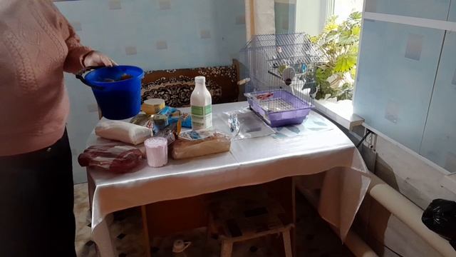 Хлопоты женские