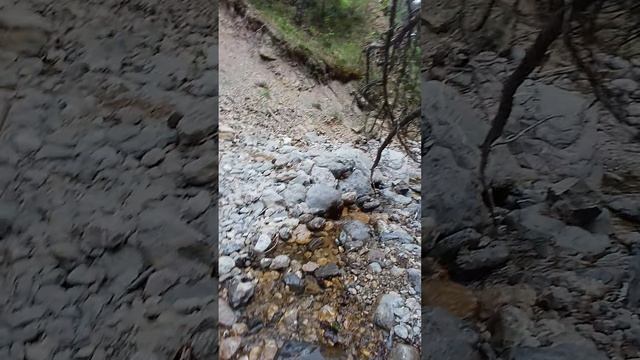 1000083188.mp4