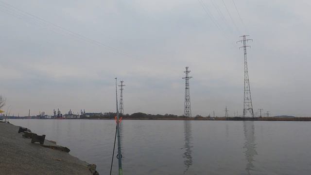 Прегольский, не сахарные условия