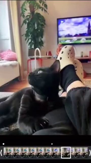 видео прислала мама