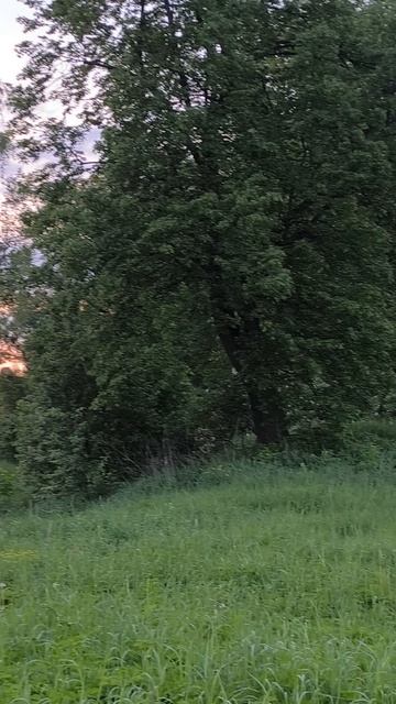 1000015716.mp4