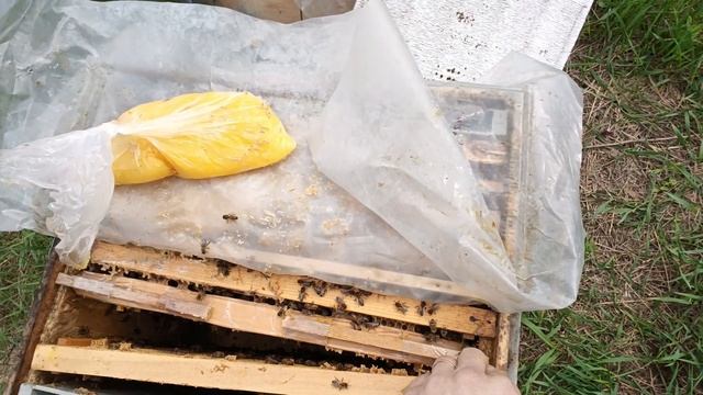 Когда нужно расширять пчёл? Первое расширение и кормл?