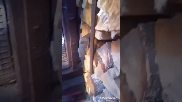 жизнь куриц в деревне