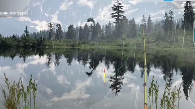 Как поймать берш в игре My Fishing World