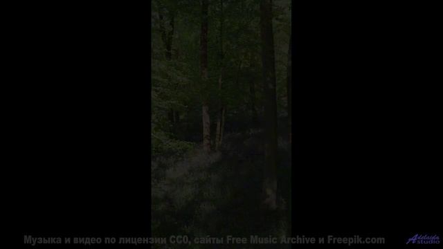 Вы не видели зиму такой, пока не услышали этот трек! - Mercurio -- chicachico -- 3 canciones sobre l