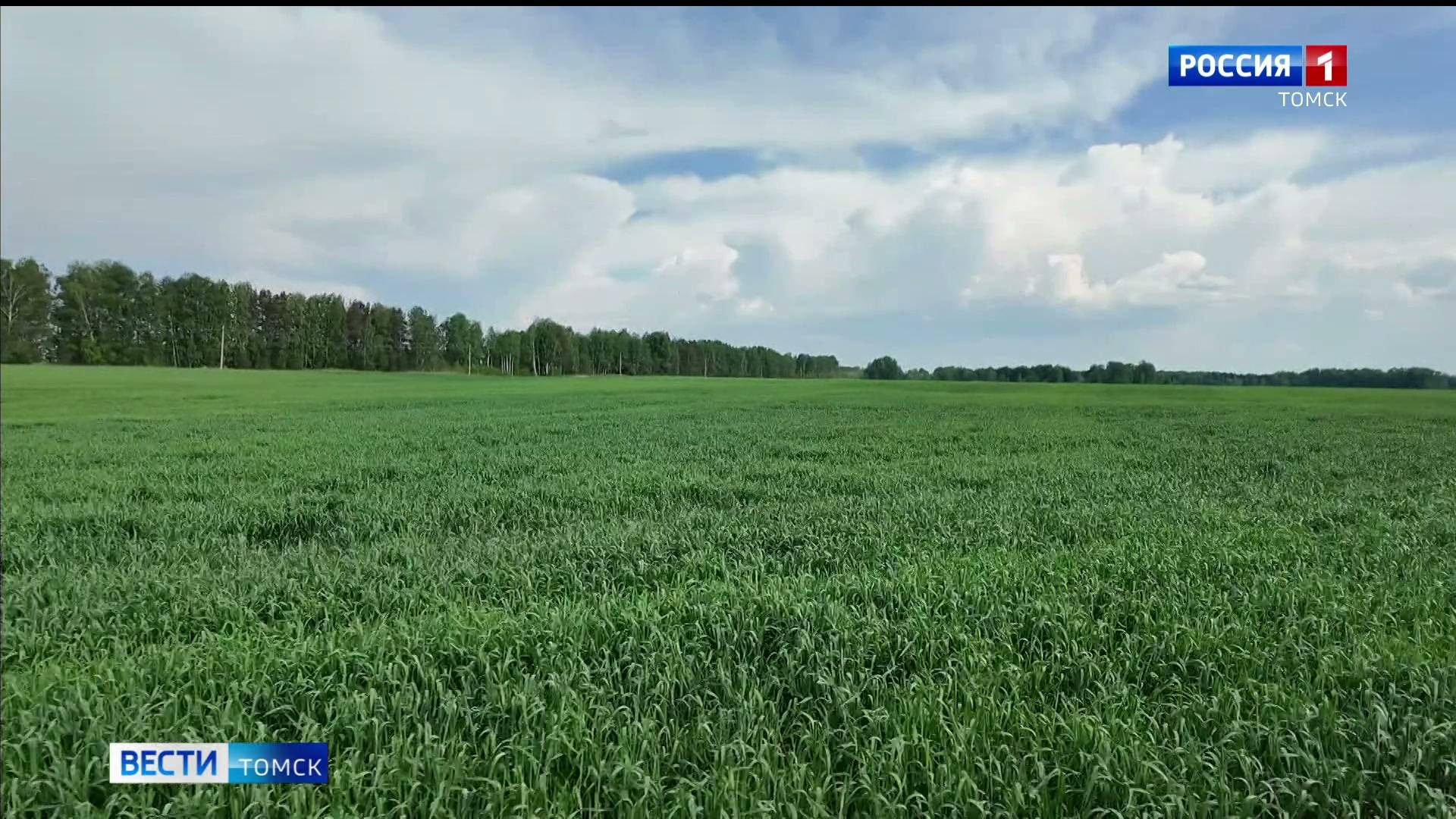 Вести-Томск, выпуск от 05.06.2025 11:30