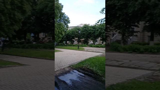 три жука на аллее любви