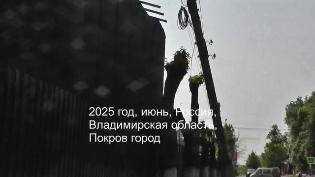 Cтолб