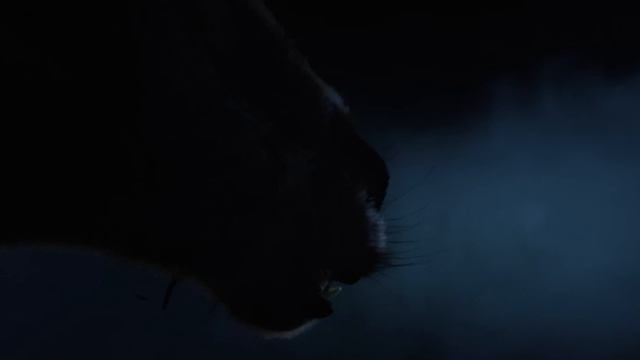 Хищник: Дожить до рассвета - 2025 (06)
