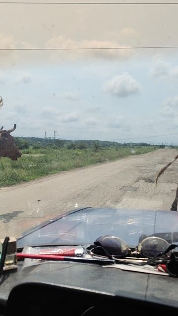Вежливость - залог безопасности на дороге.