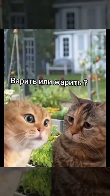 Как быстро похудеть