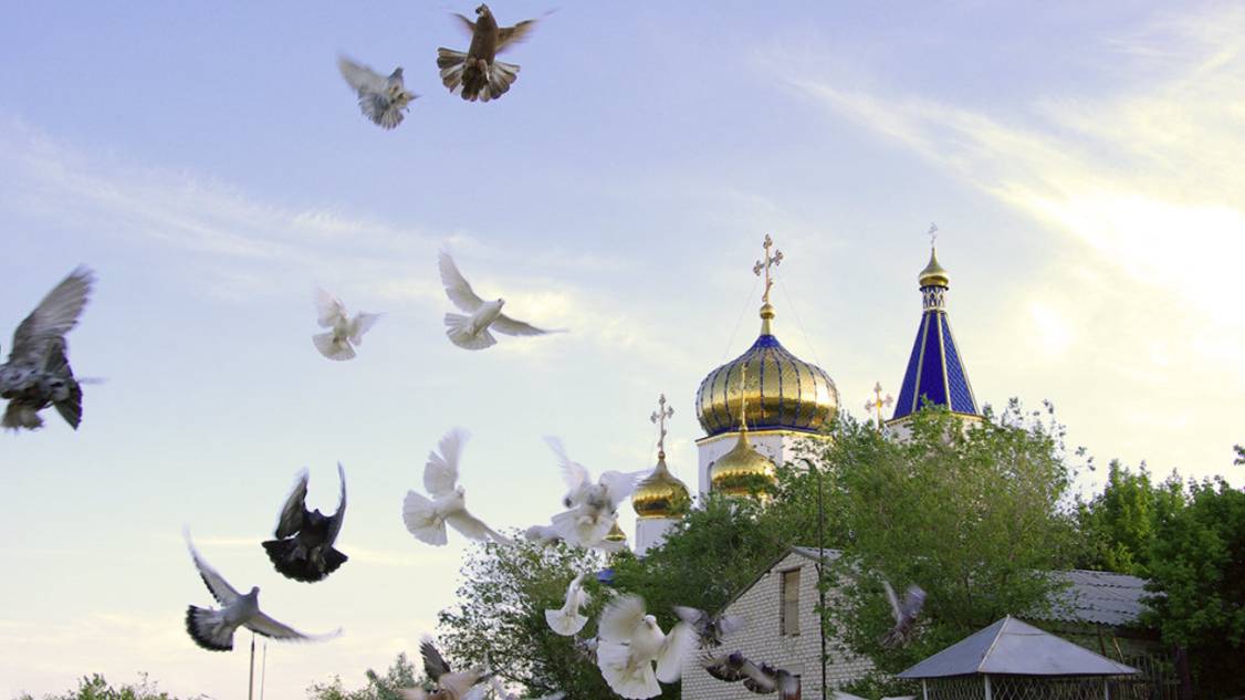 Если  начинаешь  Утро без Молитвы, то всё у тебя пойдёт кувырком_Советы Старца