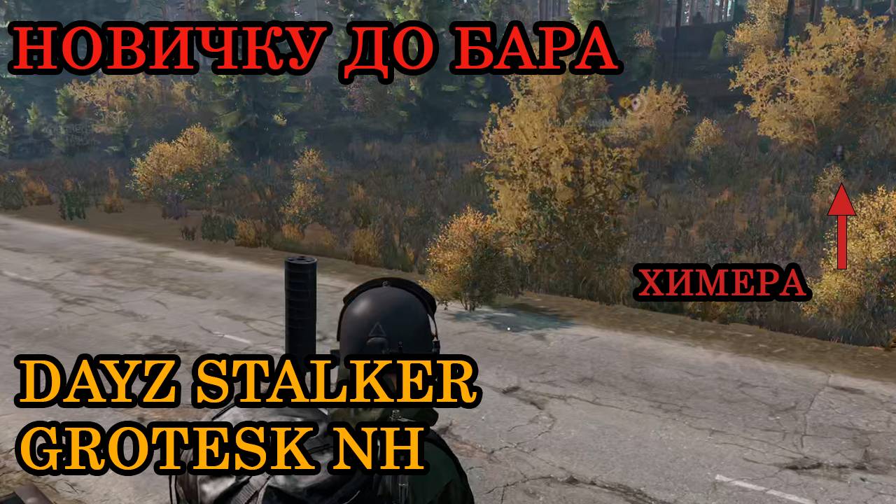 Как добежать новичку до бара - Dayz Stalker Grotesk NH