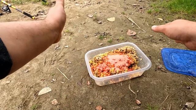 КАРП ДУРІЄ З ЦЕЇ ПРИКОРМКИ...ДІДОВСЬКИЙ РЕЦЕПТ, що знищ