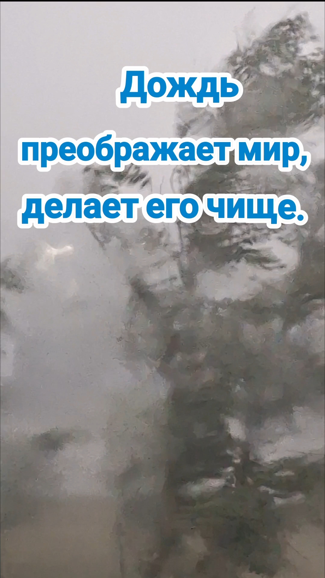 С ДОБРЫМ ЛЕТНИМ ВЕЧЕРОМ! 🌧☂️