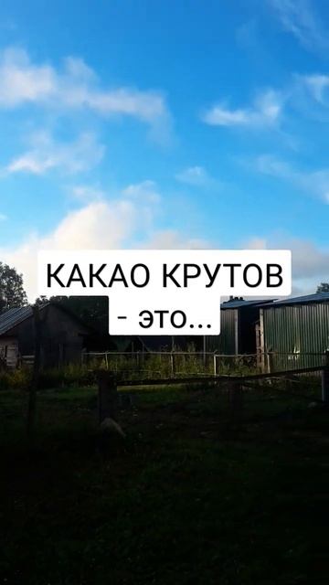 КАКАО КРУТОВ - это состояние