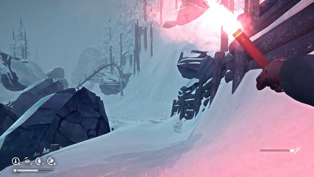 The Long Dark 46