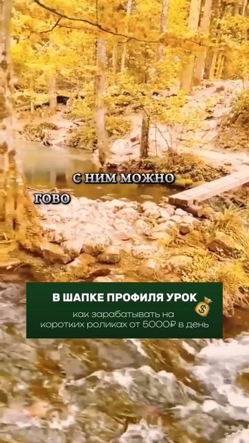 Важные качества лучшего друга.