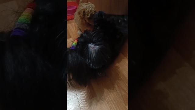 1000054615.mp4