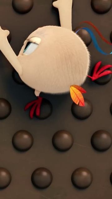 1000069402.mp4