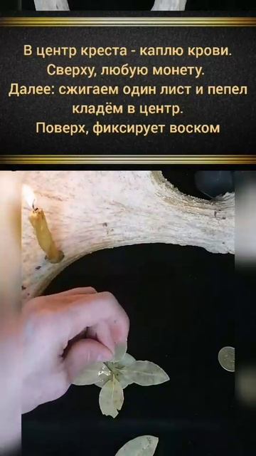 удача.mp4