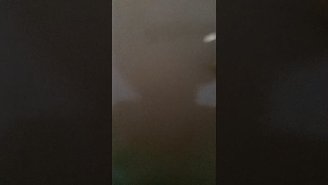 1000029154.mp4