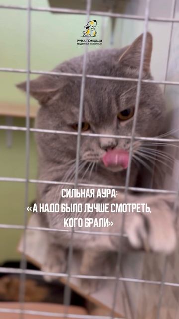 Слабая или сильная аура? Поддержать⬇️