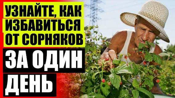 СРЕДСТВО ДЛЯ СОРНЯКОВ ТОРНАДО КУПИТЬ 🚫 КАК ИЗБАВИТЬСЯ ОТ СОРНЯКОВ В ОГОРОДЕ ⭐