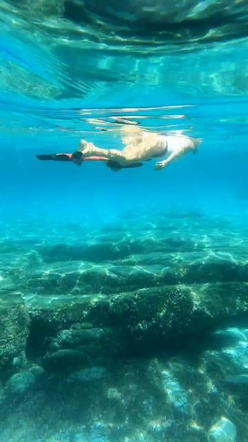 Водный велосипед Seabike (СИБАЙК), открытая вода