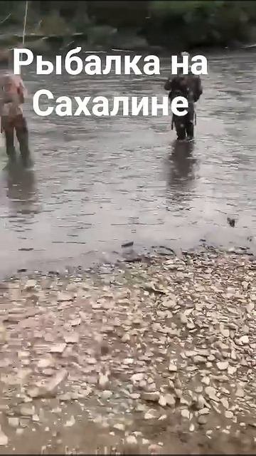 Рыбалка на Сахалине.