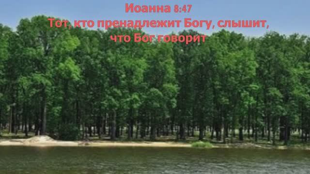 02.06.2025г. Видеозапись прямого эфира "СЕРДЕЧНАЯ МОЛИТВА" провела Галина Николаевна