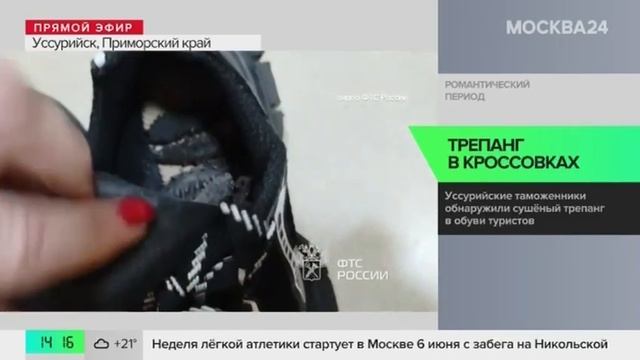 Телеканал «Москва 24», программа «Новости», 03.06.2025