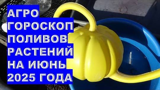 Секретные даты для идеального полива в июне 2025 по агрогороскопу 🌙