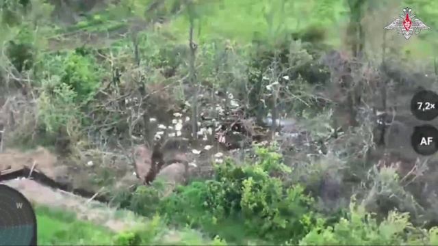 Боевая работа расчета Центра «Рубикон»