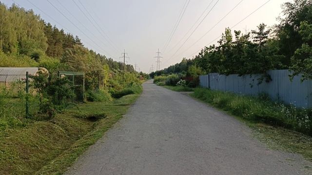 Магнолия