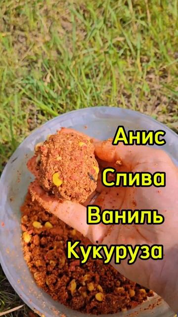Секрет летнего карася. Результат рыбалки в конце роли?