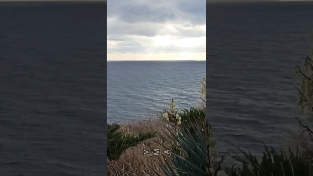 Осенний Геленджик. видео Надежды Деевой