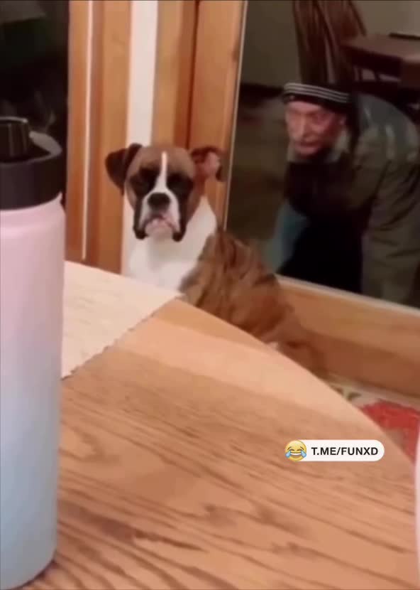 Страшно, очень страшно😁
