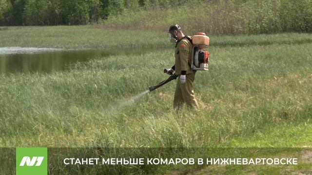 На городских водоёмах приступили к антикомариной обработке
