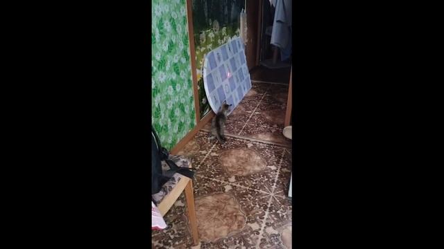 Я тебя поймаю
