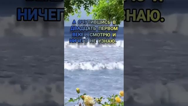 VID-20250605-WA0044.mp4