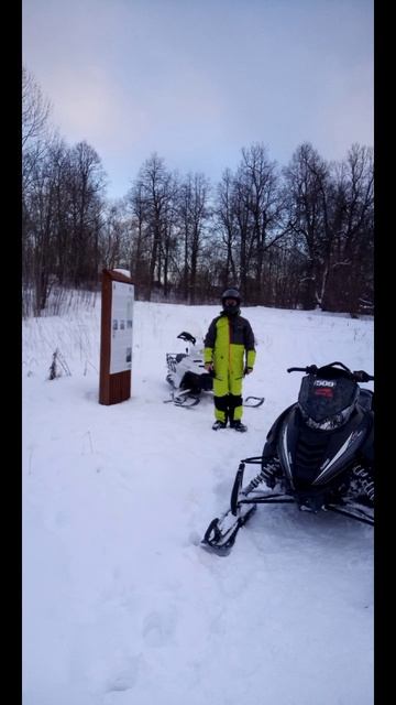 На снегоходах по лесу