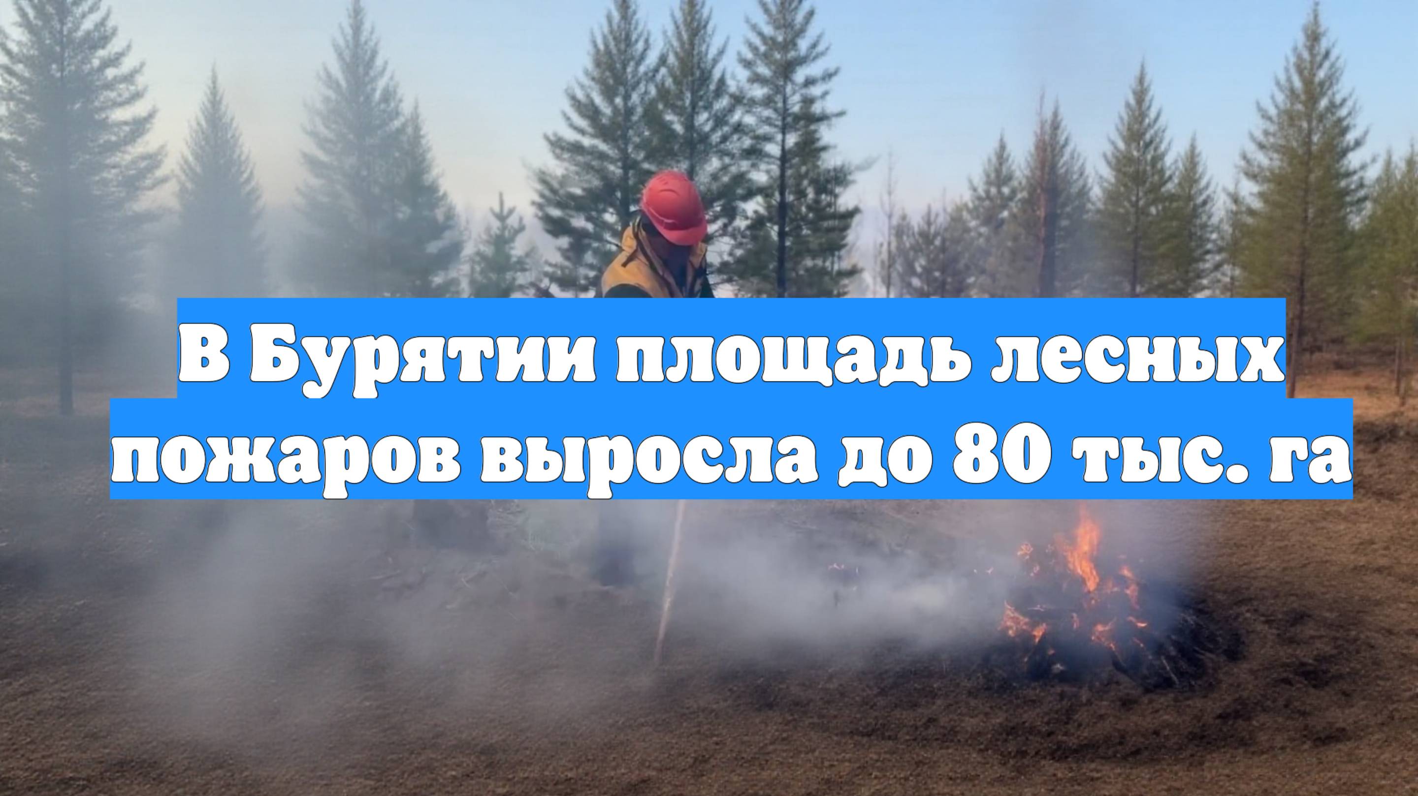 В Бурятии площадь лесных пожаров выросла до 80 тыс. га