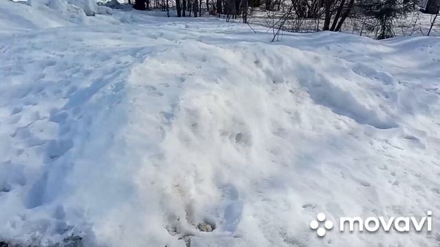 1000041577.mp4
