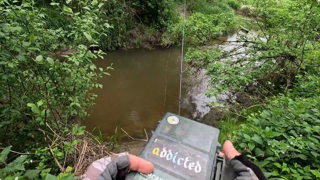Trout Seasons #08 - Ловля форели на микроречке
