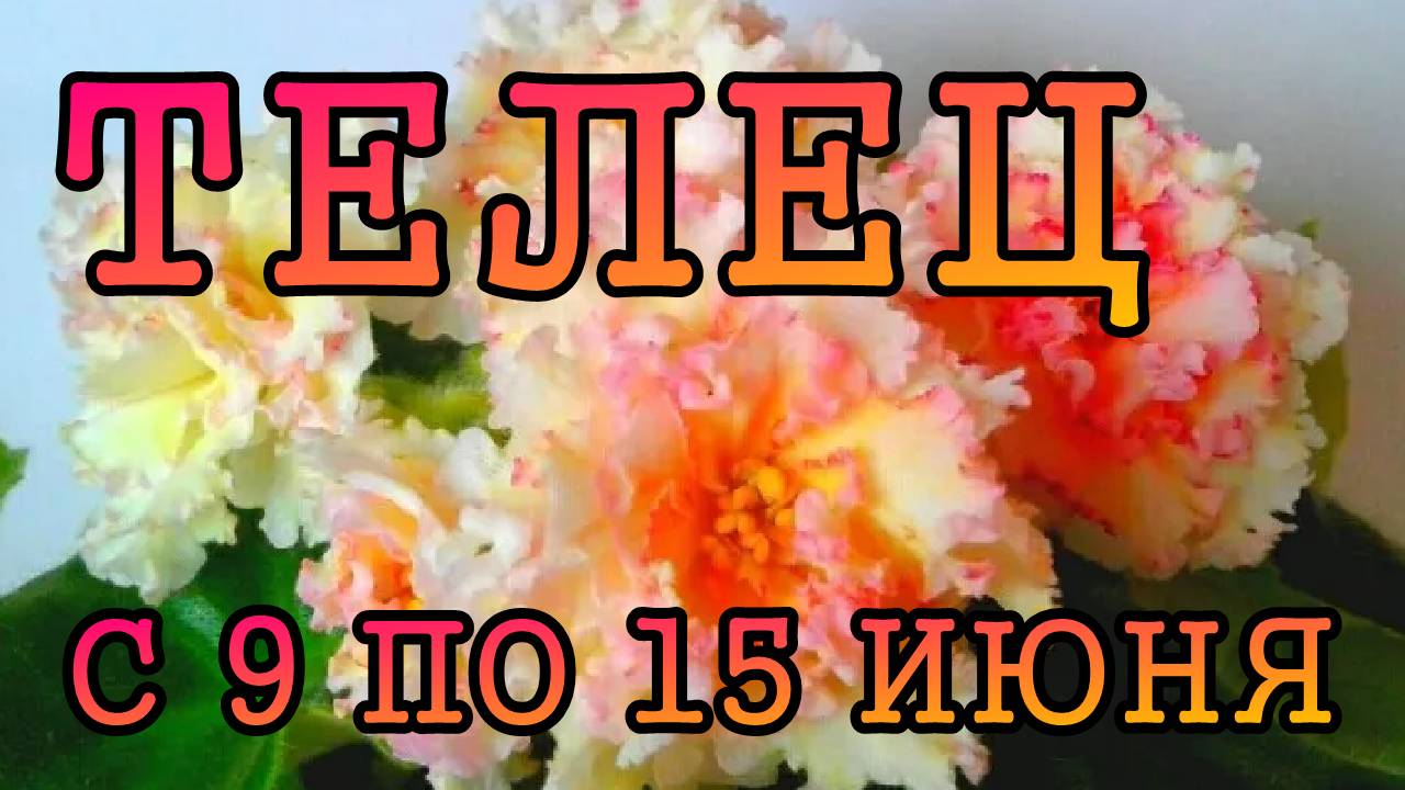 ТЕЛЕЦ таро прогноз на неделю с 9 по 15 ИЮНЯ 2025 года.