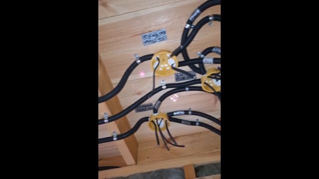 1000025538.mp4 (Собака смотрит на электроснабжение нового дома А-фрейм)